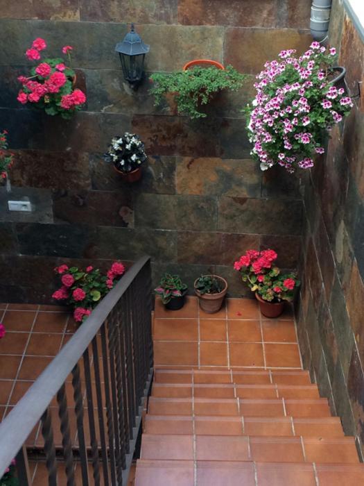 Apartamentos La Flor San Martín de Moncayo Dış mekan fotoğraf