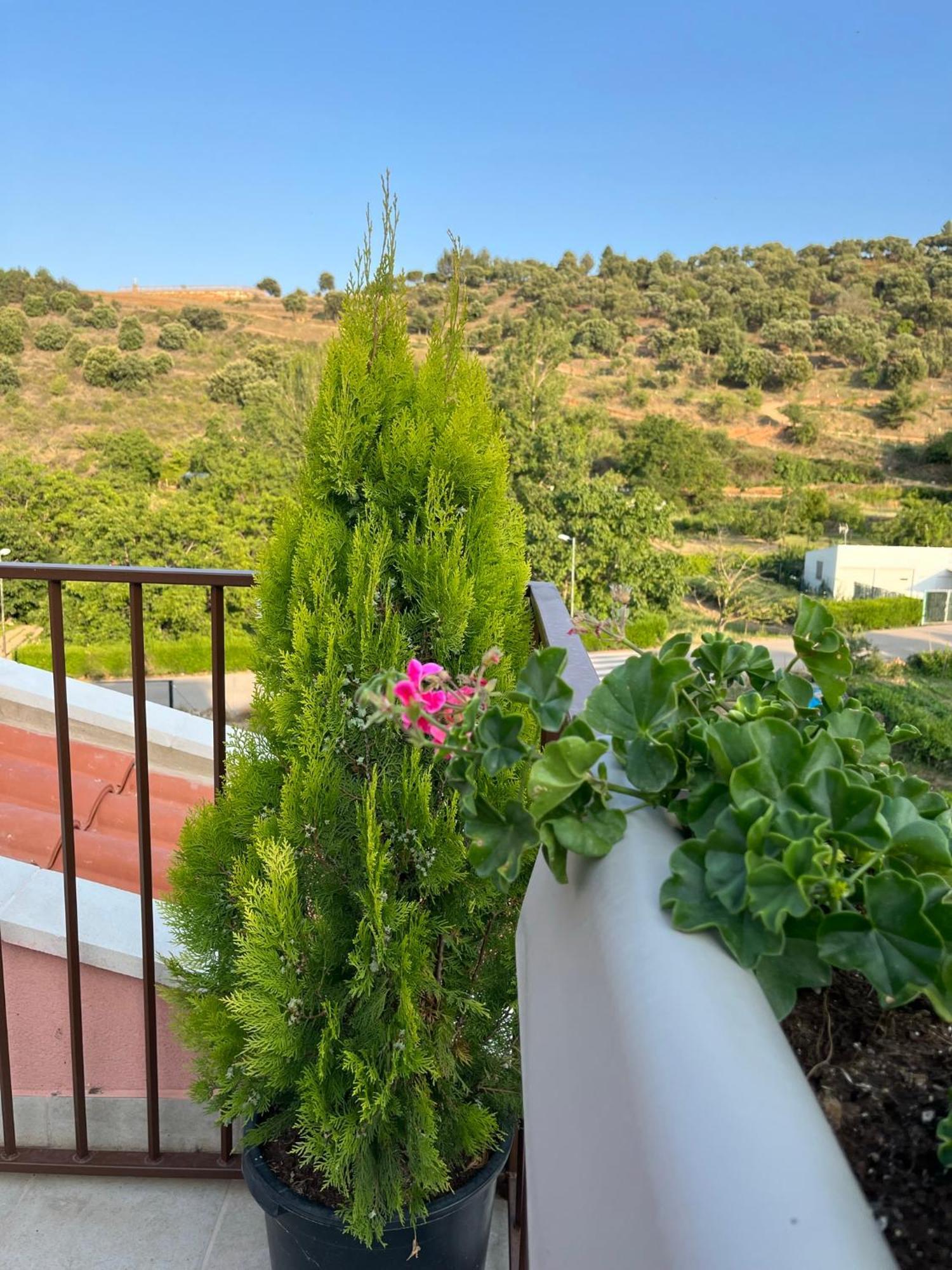 Apartamentos La Flor San Martín de Moncayo Dış mekan fotoğraf